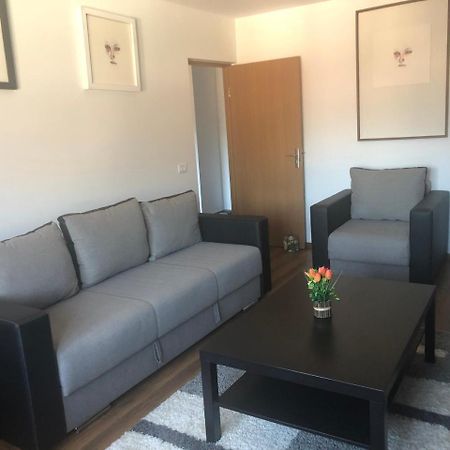 Apartament Belvedere Călimăneşti Kültér fotó